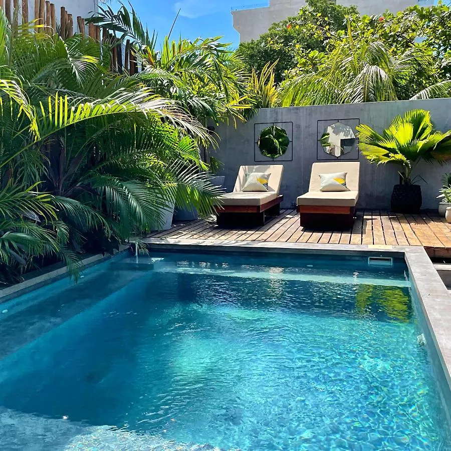 Aparthotel Lote4 - Lgbtq Studios Playa del Carmen Mexico