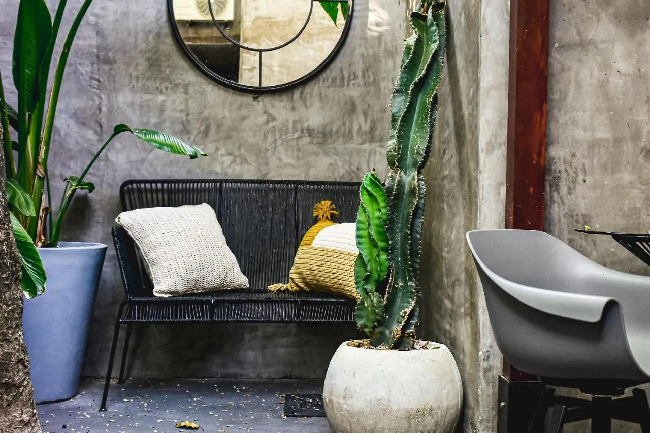 Lote4 - Lgbtq Studios Playa del Carmen