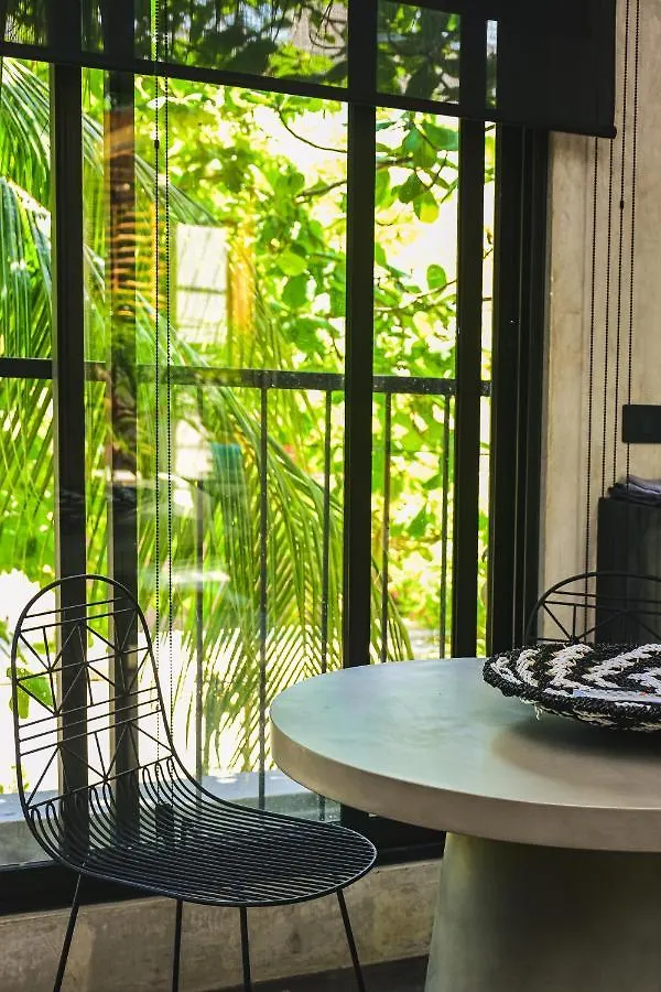 Lote4 - Lgbtq Studios Playa del Carmen