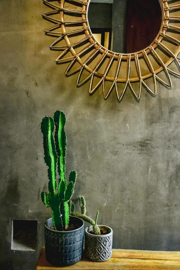 Aparthotel Lote4 - Lgbtq Studios Playa del Carmen