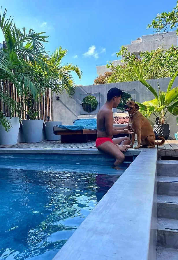 Aparthotel Lote4 - Lgbtq Studios Playa del Carmen
