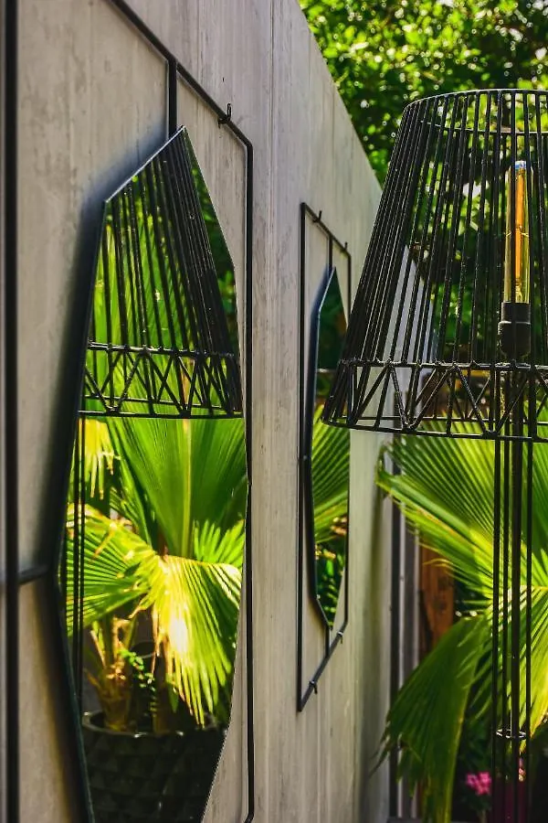 Lote4 - Lgbtq Studios Playa del Carmen